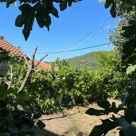 Appartement Welcomely - Il Melograno Di Bolotana